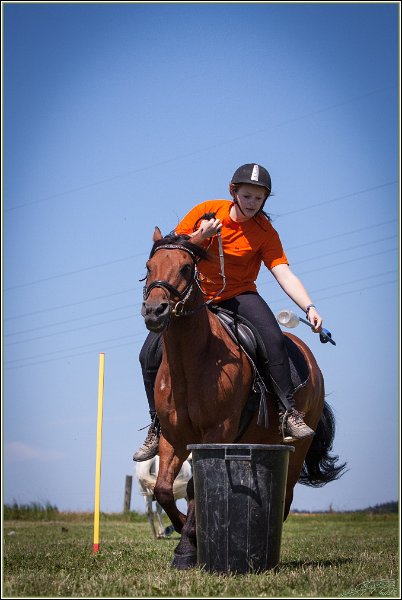 Mounted Games 199